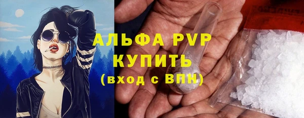 тгк Белокуриха