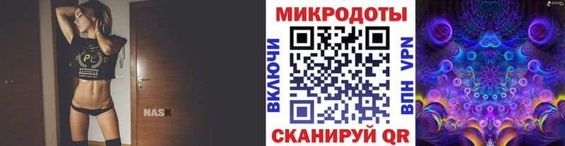 Галлюциногенные грибы Cubensis  Дальнегорск 